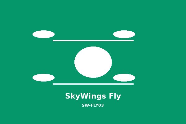 SkyWings Fly 晓飞